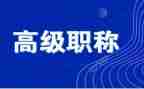 教师评高级职称述职报告模板6篇