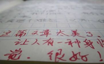 总评语作文8篇