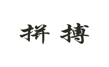 拼来的精彩演讲稿推荐5篇