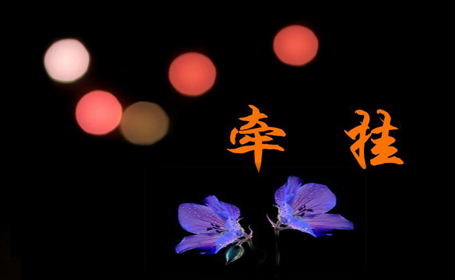 作文我牵挂的人作文优秀7篇