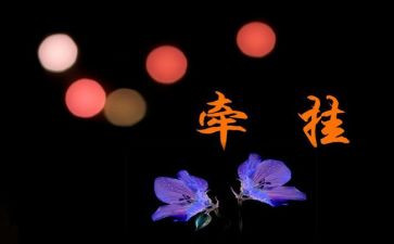 关于牵挂的作文500字8篇