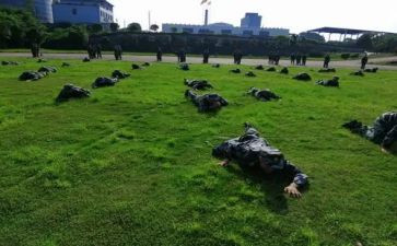 吹着小哨前进读后感5篇