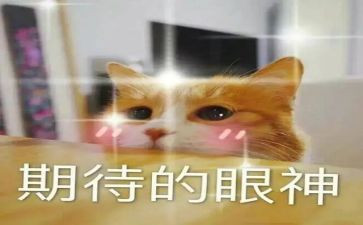 我期待——作文600字精选5篇