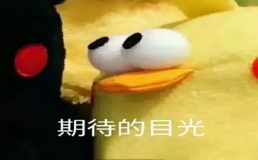 我期待的作文600字参考8篇