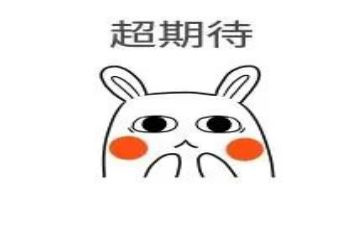 我期待的作文600字7篇