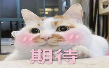 期待青春作文5篇