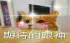 我期待__作文600字最新6篇