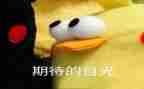我期待的作文600字参考8篇