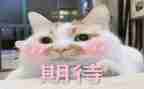 我期待的春天作文6篇