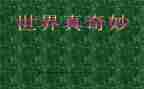 奇妙的书读后感参考5篇