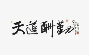 行政后勤个人总结通用6篇