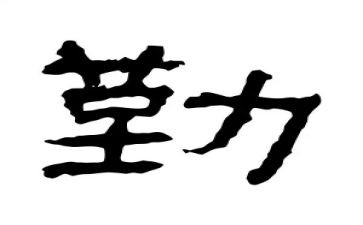 学校后勤处工作总结通用6篇