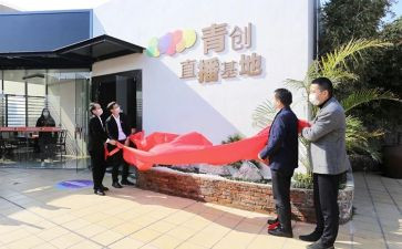 青创联盟工作总结6篇