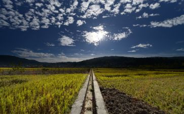 教育情怀的心得6篇