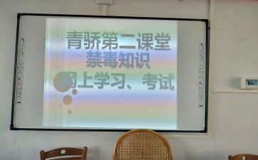 青骄课堂活动总结6篇