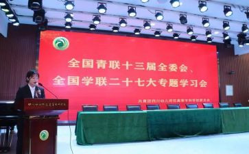 青联的心得体会优秀6篇