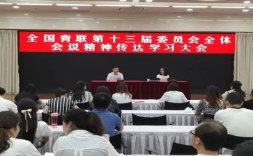 全国青联十三届全委心得体会6篇