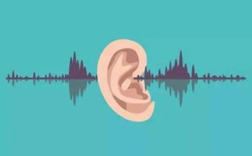 倾听生命拔节的声音作文5篇