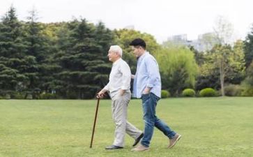 有关于亲情的作文优质6篇
