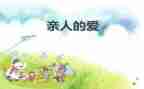 感恩亲人的小作文6篇