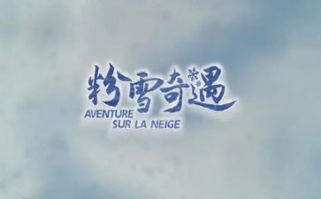 木偶奇遇的作文8篇