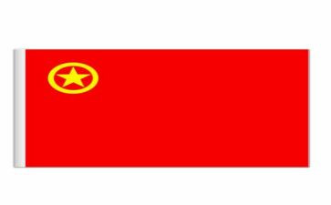光辉的旗帜读后感6篇