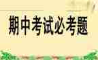 学期中班个人总结模板7篇