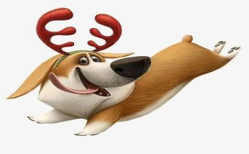 猎犬读后感7篇