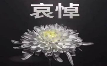 2023哀悼的心得体会8篇