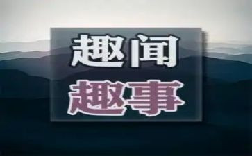 乡村趣事的作文优质7篇