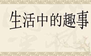 家庭趣事的作文500字6篇