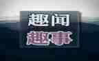 《暑假趣事》作文最新8篇