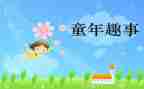 春节趣事作文800字作文8篇