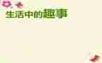 小学四年级双11趣事作文7篇