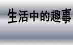 性趣事作文通用6篇