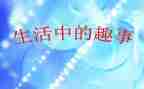 春节趣事800初中作文8篇