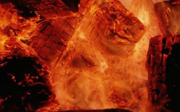 燃烧的心的读后感7篇