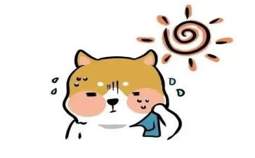 我热爱作文通用8篇