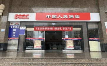 个人保育述职报告范文6篇