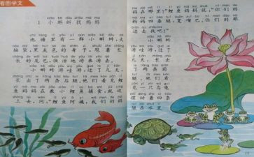 幼儿园个人教育教学工作总结通用8篇
