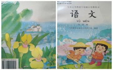 高中语文个人教学工作总结5篇