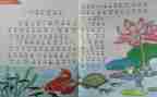 幼师个人教学计划6篇