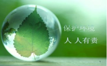 爱护公物人人有责演讲稿6篇
