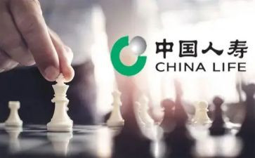 写人寿保险的心得体会6篇
