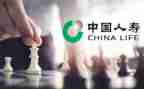 写人寿保险的心得体会6篇