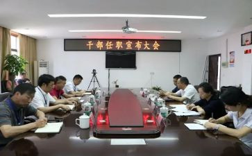 任职以来的专业技术工作总结8篇