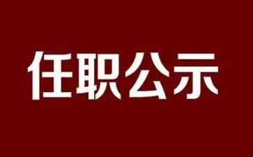 个人任职期满工作总结范文5篇