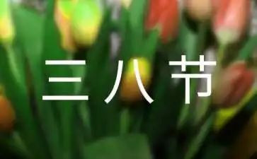 三八讲话稿6篇