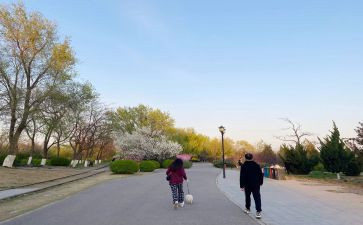 散步的作文200字8篇