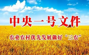 对三农的心得体会5篇